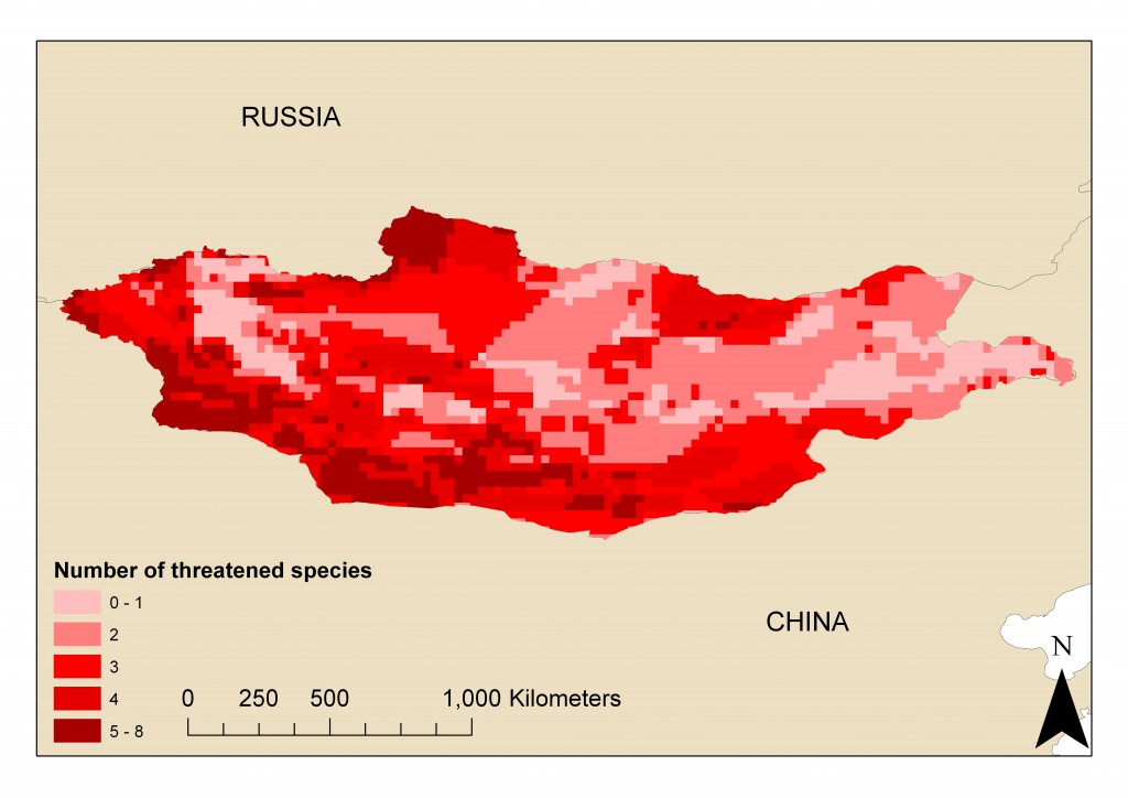 Threatened mammal distribution in Mongolia