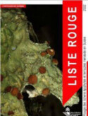 Liste rouge des espèces menacées en Suisse: Lichens épiphytes et terricoles 2002 (French)