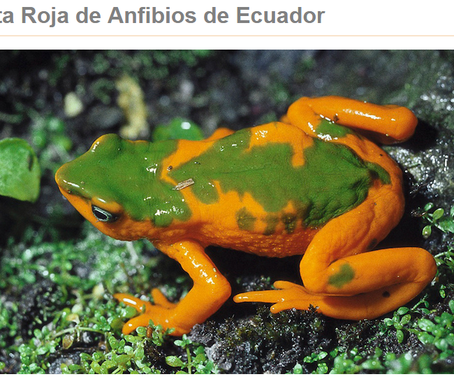 Lista Roja de los Anfibios de Ecuador (Red List of the Amphibians of Ecuador) – 2011