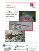 Ireland Red List No. 11: Cartilaginous Fish (Sharks, Skates, Rays and Chimaeras) (2016)